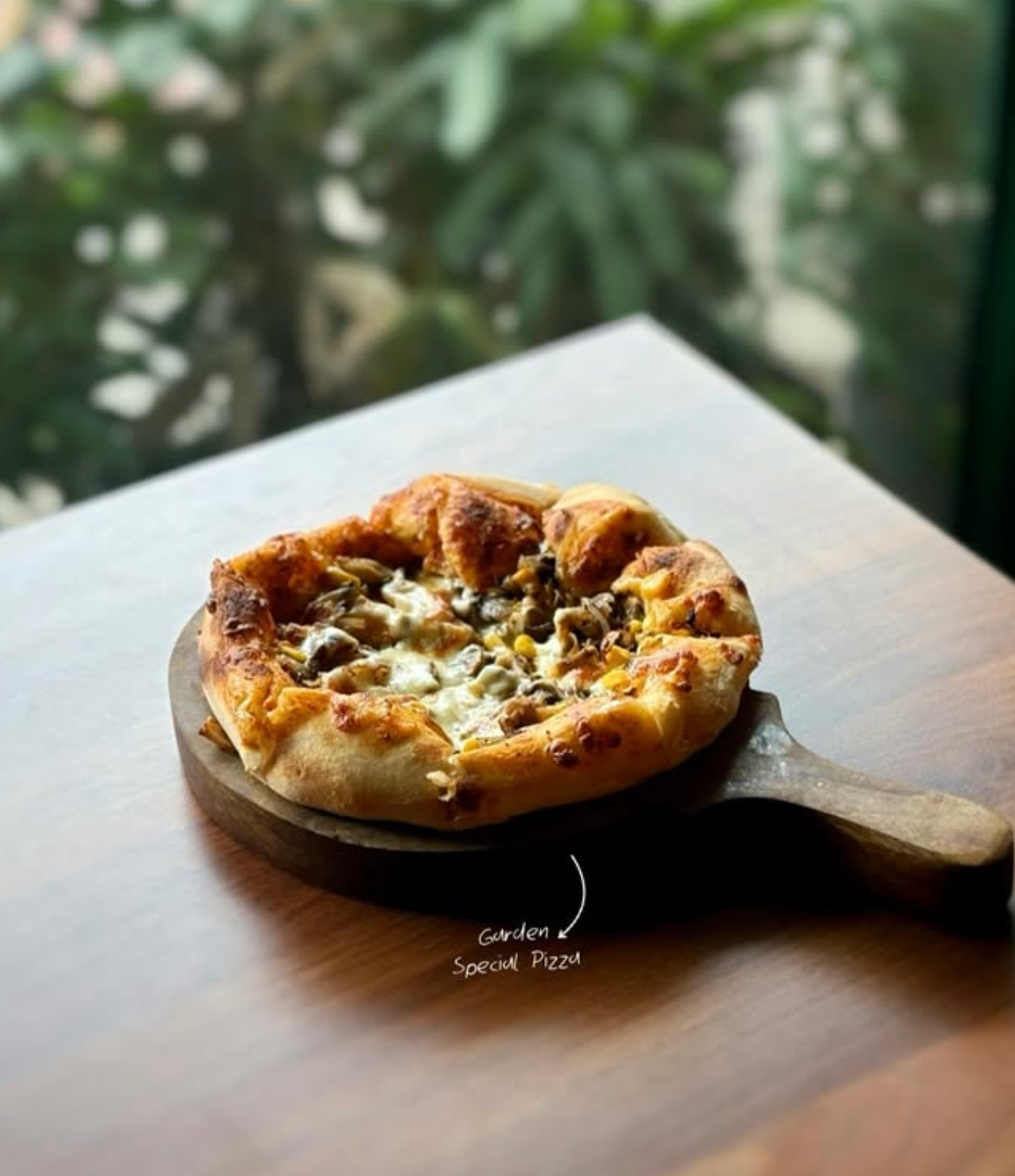 Garden Special Pizza